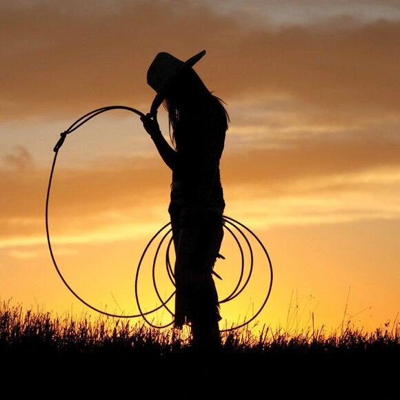 New FRYE & CO Palma Heeled Ankle Booties Black Vegan Western Style Sz 9.5 M - Picture 2 of 10